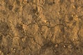 Dirt Texture