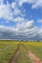 Driveway to the Barn in a Field covered in Yellow Flowers with a cloudy sky Royalty Free Stock Photo