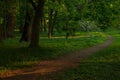 Dirt trail foot path in park outdoor environment space in spring morning season Royalty Free Stock Photo