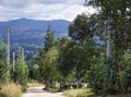 Dirt trail in front of a mountain