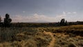 Dirt trail on a grassy landscape