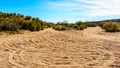 Dirt Trails used by Cross Country bikes in the Semi Desert landscape of Arizona