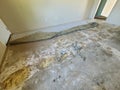 Dirt under carpet padding Royalty Free Stock Photo