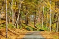 Dirt unpaved road at autumn in Vermont, USA Royalty Free Stock Photo