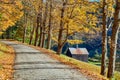 Dirt unpaved road at autumn in Vermont, USA Royalty Free Stock Photo