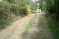 Dirt village road with green trees