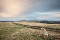 Dirtpath at the top and summit of Vrh Rajac moutain at dusk in autumn. Rajac is a mountain of Sumadija in Serbia, part of the Royalty Free Stock Photo