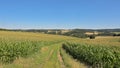 Dirt road along corn fields, in the Luxembourg countryside