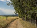 Dirtroad along forest and meadow in the wallonian countryside.