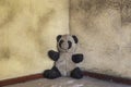 Dirty abandoned panda toy in the old military building