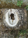 Dirty and abandoned squat toilet Royalty Free Stock Photo