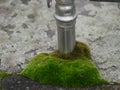 Dirty aluminium tube wrapped in moss, grey damaged concrete