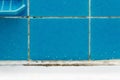 Dirty bathroom with mold and water drops on blue tile closeup