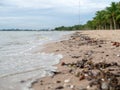 The Dirty Beach. A lot of trash on the beach.