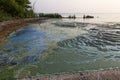 Dirty blue and green toxic algae reservoir.