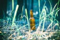 Dirty brown beer bottle Royalty Free Stock Photo