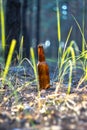 Dirty brown beer bottle on the ground Royalty Free Stock Photo