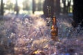 Dirty brown beer bottle on the ground in the grass Royalty Free Stock Photo