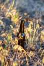 Dirty brown beer bottle Royalty Free Stock Photo