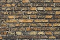 Dirty brown brick wall, grunge, close-up, rough texture of fired clay material, mold showing through. Royalty Free Stock Photo