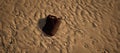 Dirty brown plastic oil container lying in rippled sand of beach. Royalty Free Stock Photo
