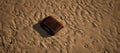 Dirty brown plastic oil container lying in rippled sand of beach.