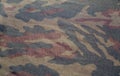 Dirty camouflage cloth with blur effect Royalty Free Stock Photo