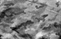 Dirty camouflage cloth with blur effect in black and white Royalty Free Stock Photo