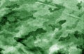 Dirty camouflage cloth with blur effect in green tone Royalty Free Stock Photo