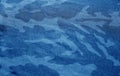 Dirty camouflage cloth with blur effect in navy blue tone Royalty Free Stock Photo