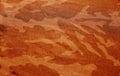 Dirty camouflage cloth with blur effect in orange tone Royalty Free Stock Photo