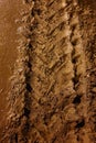 Dirty car tread track on the ground with clay in the evening Royalty Free Stock Photo