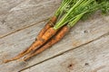 Dirty carrots on wooden background