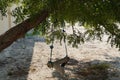 A Dirty Children Tree Swing. Wooden Swing Still Under The Trees In The Fall Leaves And Winter. Wooden Swing On Ropes Under The Big Royalty Free Stock Photo