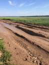 Dirty clay road with traces of cars and tractors, a deep rut with puddles. agricultural road in the field for planting and harvest Royalty Free Stock Photo