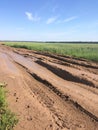 Dirty clay road with traces of cars and tractors, a deep rut with puddles. agricultural road in the field for planting and harvest Royalty Free Stock Photo