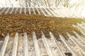 Dirty and clogged roof. Leaves and branches as an obstacle to the flow of water