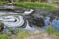 dirty contaminated water in the lake. toxic oily stain on the surface of water