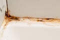 Dirty corner in the bathroom, cleaning concept, old rusty joint between tiles in the shower with mold Royalty Free Stock Photo