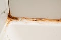 Dirty corner in the bathroom, cleaning concept, old rusty joint between tiles in the shower with mold Royalty Free Stock Photo