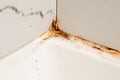 Dirty corner in the bathroom, cleaning concept, old rusty joint between tiles in the shower with mold Royalty Free Stock Photo