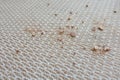 dirty cotton fabric texture and background