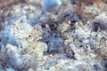 Dirty crystals of melted snow close-up