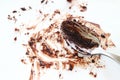 Dirty Dish with Tea Spoon after Eating Chocolate Cake Close up Royalty Free Stock Photo