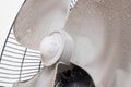 Dirty dust on fan blades has an impact on the air