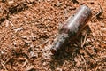 Dirty empty bottle left on sawdust in the Park, clogging the environment Royalty Free Stock Photo