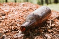 Dirty empty bottle left on sawdust in the Park, clogging the environment Royalty Free Stock Photo