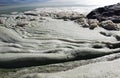 Dirty foam on the water near the shore. Green water, gray and dirty foam indicate the consequences of an environmental disaster.