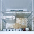 Dirty freezer of modern frigerator with splash
