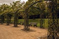 Dirty gravel road with  benches and arches in a park in autumn with yellow, green and red trees Royalty Free Stock Photo